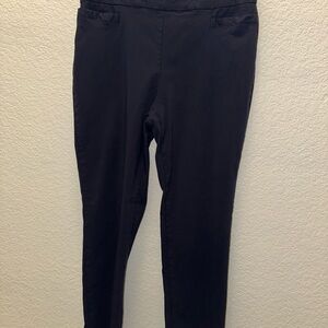 Briggs New York Navy Blue Pull-On Trousers